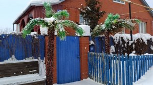 Чудо- остров в нашем селе.🌴🌴🌴