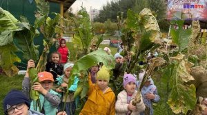 2025 СЕНТЯБРЬ ПОМОЩЬ ДВОРНИКАМ