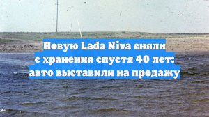 Новую Lada Niva сняли с хранения спустя 40 лет: авто выставили на продажу