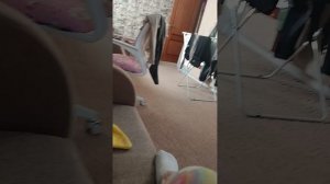 Фредди и Бонни смотрят взлом канала Карусель