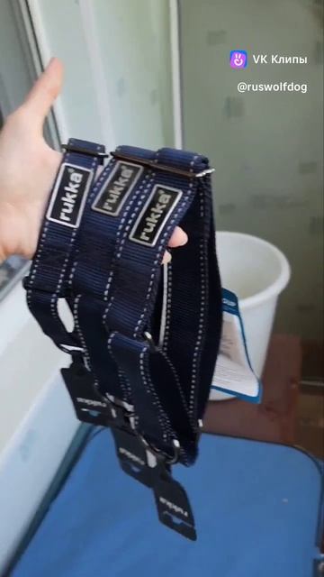 1000117122.mp4 смотреть онлайн