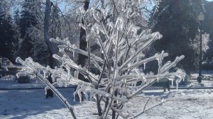 Температурные качели снова ожидают ставропольцев