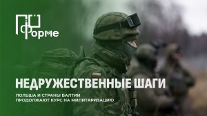 Милитаризация у белорусских границ: на что тратят миллионы евро Польша и страны Балтии? По форме
