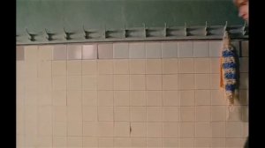 Дикий прапор ДМБ