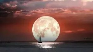 Бабочка - Луна.