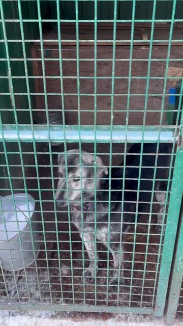 Давно вам не показывали нашего электроника. АРТИК .