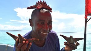 Морские ЗВЁЗДЫ Индийского океана! Снорклинг на Занзибаре. Танзания