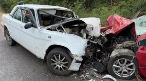 Аварии и ДТП на дорогах ТОРОПЫГИ за рулем