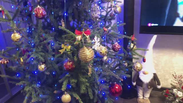 Живая новогодняя ёлочка | Лайфхаки новогодние смотреть онлайн