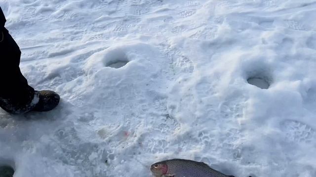 26-01-2026 смотреть онлайн