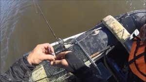 ОДИН ЗАБРОС ТРИ ЩУКИ