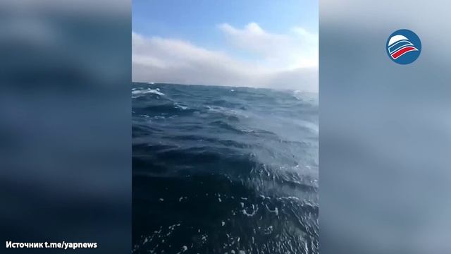 50-летний водолаз, пропавший во время погружения на Сахалине, выжил после 20 часов в ледяном море смотреть онлайн