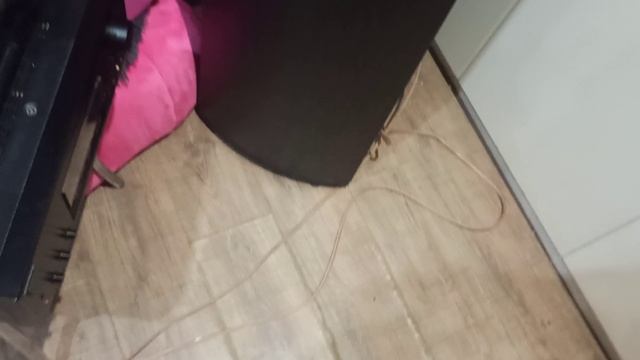 VID_20260126_184904 смотреть онлайн