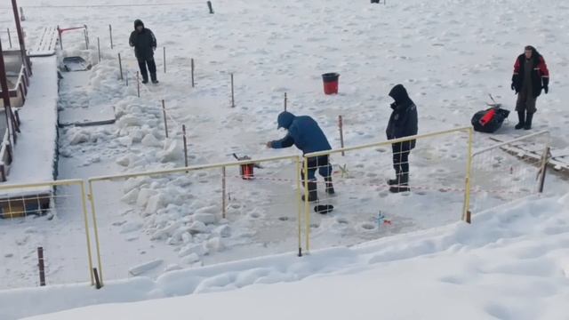 4595.mp4 смотреть онлайн