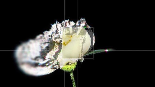 1216 смотреть онлайн