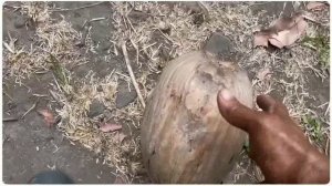 Наедине с природой. Вдали от цивилизации