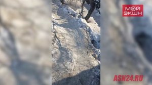 Жительница Благовещенска пожаловалась на отсутствие тротуаров