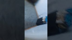 1000006049.mp4тьааогв