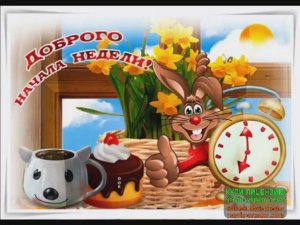 ВЕСЁЛЫЙ ПОНЕДЕЛЬНИК! ВЕСЁЛАЯ ПЕСЕНКА ЗА ЗДОРОВЫЙ ОБРАЗ ЖИЗНИ! КТО ЖЕ ПРОТИВ_ НАЧНЁМ С ПОНЕДЕЛЬНИКА!