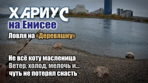 Хариус на Енисее. Ловля на "деревяшку". Не всё коту масленица...