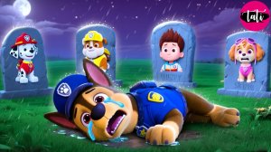 Щенячий патруль и Маршалл. Залипательное видео. Мультфильм для детей и малышей. Анимация 136