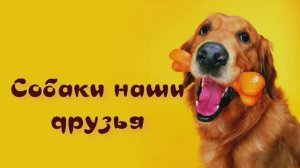 Собаки наши друзья. Породы собак для детей.