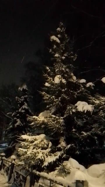 Елки в ночном сквере смотреть онлайн