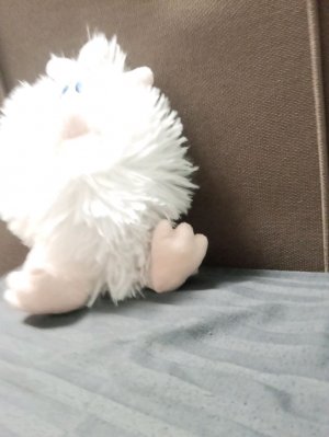 подписавуюсь на всех