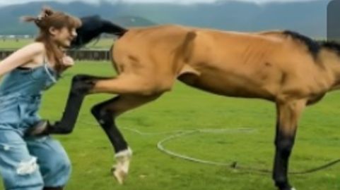 Попробуйте не Смеяться смотреть онлайн