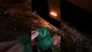 живу жизнью