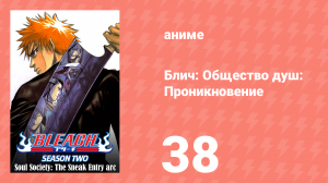 Блич: Общество душ: Проникновение 38 серия (аниме-сериал, 2004)
