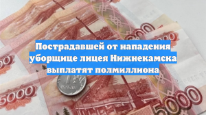 Пострадавшей от нападения уборщице лицея Нижнекамска выплатят полмиллиона