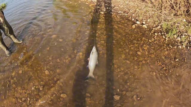 ##Май,##р.Ока,##Первый Шелеспер﹤﹤## смотреть онлайн