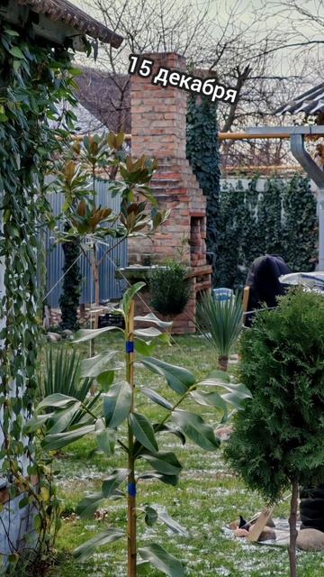 Зелёный сад смотреть онлайн