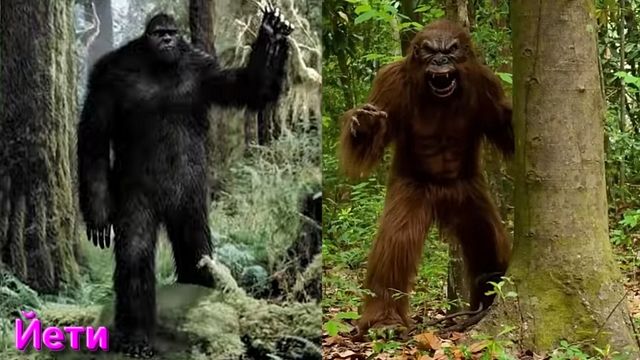 Вопросы для В.А.Шемшук на его лекциях задать от 26.01.26 смотреть онлайн