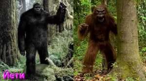 Вопросы для В.А.Шемшук на его лекциях задать от 26.01.26