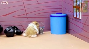 Хомячки заботятся о больных малышах, Это тяжелая работа!