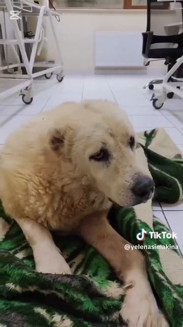 Добро возвращается смотреть онлайн