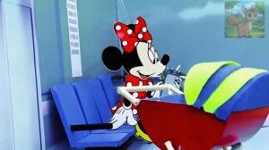 Вот как хомяки поднимаются по лестнице! Так мило!