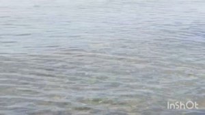 Славное море Байгал (Байкал) 17/06/25