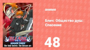 Блич: Общество душ: Спасение 48 серия (аниме-сериал, 2004)