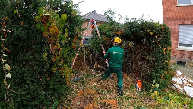 Люди СВАЛИЛИ МУСОР в этот заросший двор, потому что думали, что он ЗАБРОШЕН смотреть онлайн