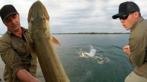 Щучье безумие  в Квебеке  | Перевод Fishing Adventurer ЛЛ 92