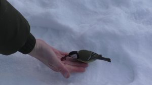 Рыбалка в БОЛЬШОЙ ПОЛАТКЕ!