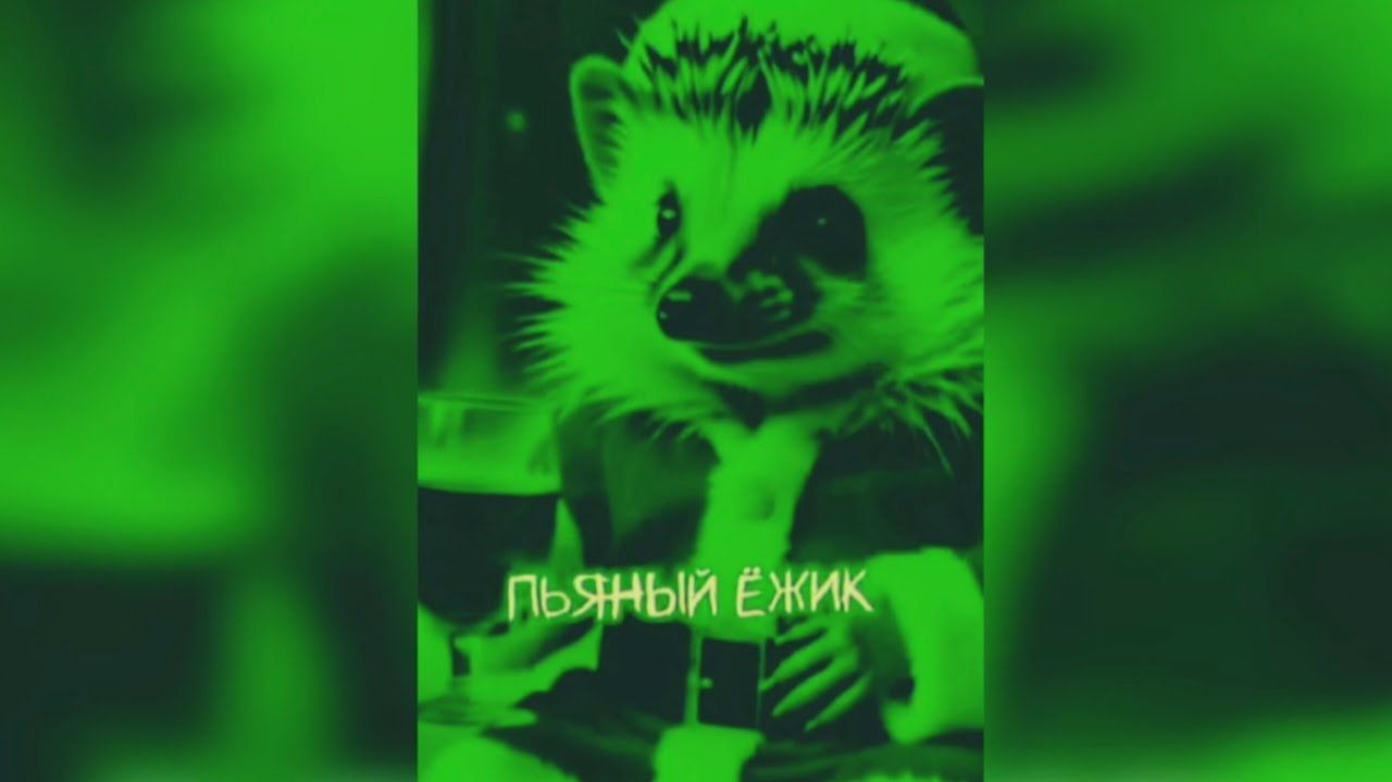 #смешныевидео -781 смотреть онлайн