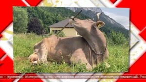 26.01.2026 Мировые новости