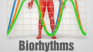 Программное обеспечение «Gr-I-B» - Биоритмы человека. Учебное пособие /часть 2