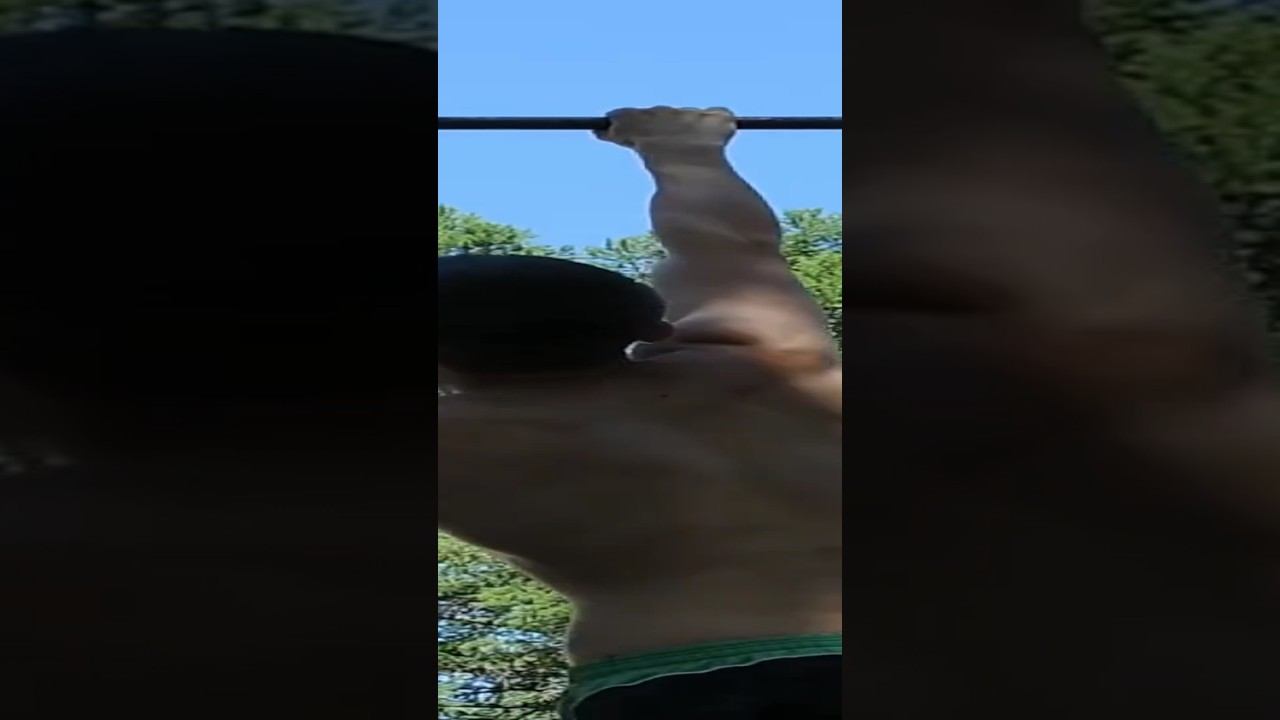 7 one arm pull ups смотреть онлайн