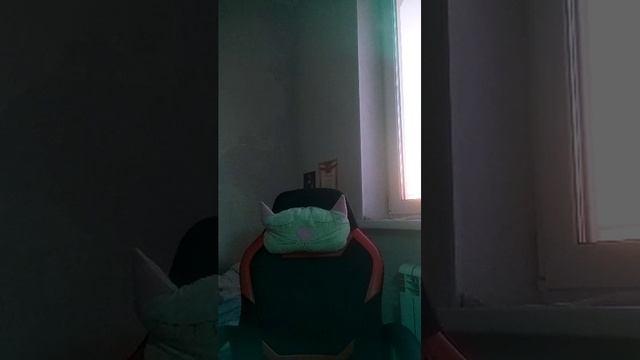 стрим с Саней смотреть онлайн