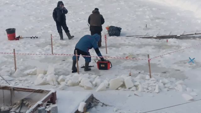 4589.mp4 смотреть онлайн